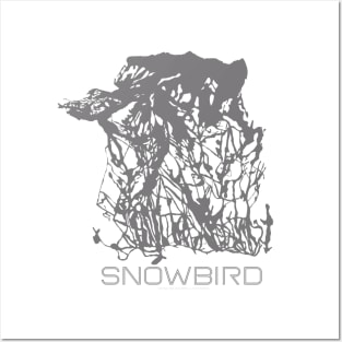 Snowbird Resort 3D Posters and Art